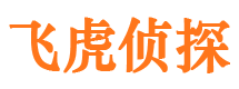 庆阳侦探公司